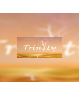 Trinity Steam Key GLOBAL